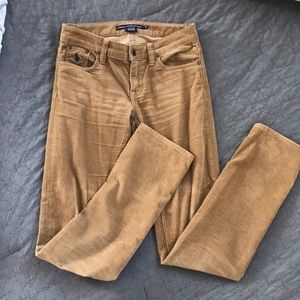 Polo brown corduroy pants